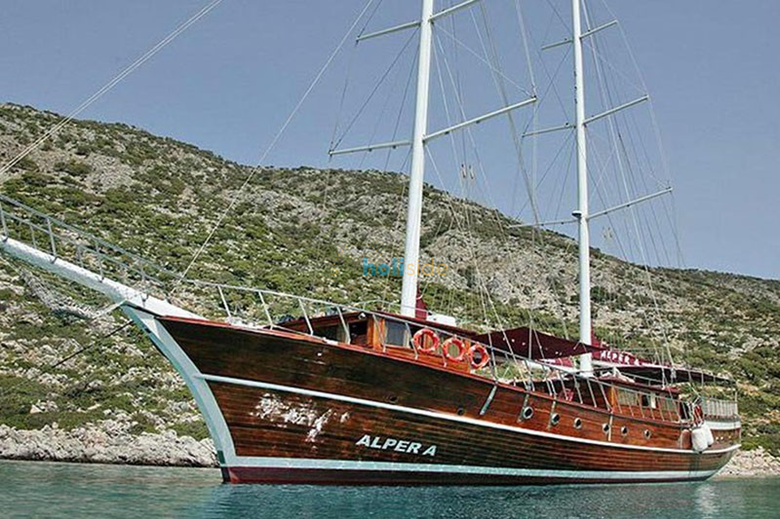 Alper A Gulet