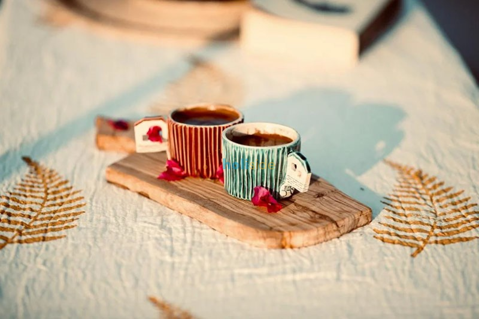 Kaptan Güngör Gulet